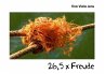 26,5 x Freude (eBook, ePUB) - Bild 1