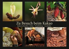 Zu Besuch beim Kakao (eBook, ePUB) - Weber, Jochen