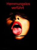 Hemmungslos verführt (eBook, ePUB)