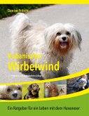 Kubanischer Wirbelwind (eBook, ePUB)