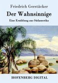 Der Wahnsinnige (eBook, ePUB)