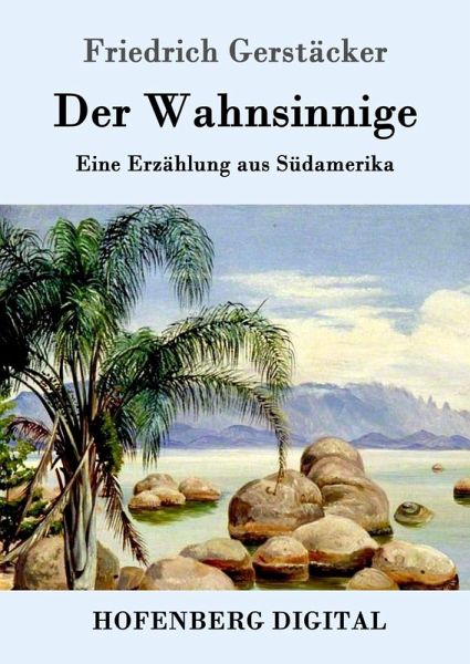 Der Wahnsinnige (eBook, ePUB)