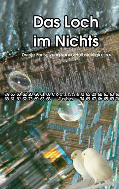 Das Loch im Nichts (eBook, ePUB)