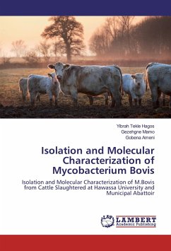 Isolation and Molecular Characterization of Mycobacterium Bovis - Hagos, Yibrah Tekle;Mamo, Gezehgne;Ameni, Gobena