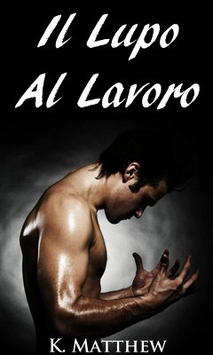 Cover Il Lupo Al Lavoro (eBook, ePUB)