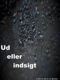 Ud eller indsigt (eBook, ePUB)