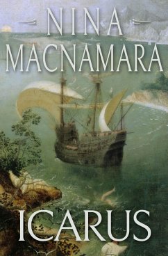 Cover Icarus (eBook, ePUB)