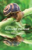 Consider the Snail