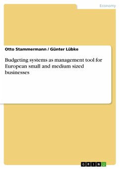 Budgeting systems as management tool for European small and medium sized businesses (eBook, ePUB)