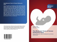 The Molecular Clock of Human Embryonic Heart - Asadi, Shahin;Habibi, Saeedeh