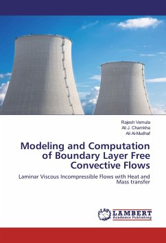 Modeling and Computation of Boundary Layer Free Convective Flows