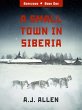 Small Town in Siberia (eBook, ePUB) - Bild 1