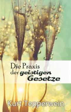 Die Praxis der geistigen Gesetze (eBook, ePUB) - Tepperwein, Kurt