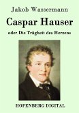 Caspar Hauser oder Die Trägheit des Herzens (eBook, ePUB)