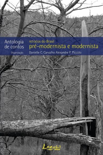 Retratos do Brasil pré-modernista e modernista (eBook, ePUB)