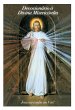 Devocionário à Divina Misericórdia... - Bild 1