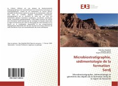 Microbiostratigraphie, sédimentologie de la formation Serdj - Ben Abdallah, Bilel;Tounsi, Scander;Khemekhem, Haythem