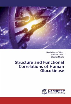 Structure and Functional Correlations of Human Glucokinase