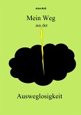 Mein Weg aus der Ausweglosigkeit (eBook, ePUB)