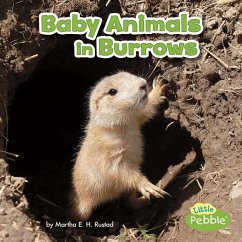 Baby Animals in Burrows - Rustad, Martha E. H.