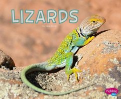 Lizards - Davin, Rose