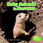 Baby Animals in Burrows