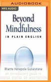 BEYOND MINDFULNESS IN PLAIN M