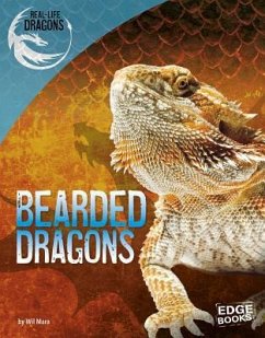 Bearded Dragons - Mara, Wil