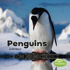 Penguins - Schuh, Mari