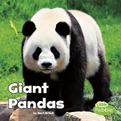 Giant Pandas - Schuh, Mari