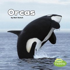 Orcas - Schuh, Mari