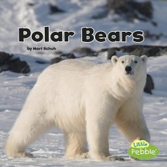 Polar Bears - Schuh, Mari