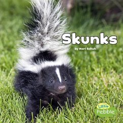 Skunks - Schuh, Mari