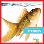 Peces (Fish)