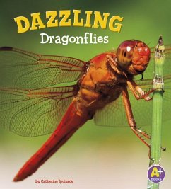 Dazzling Dragonflies - Ipcizade, Catherine