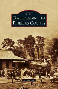 Railroading in Pinellas County - Luisi, Vincent
