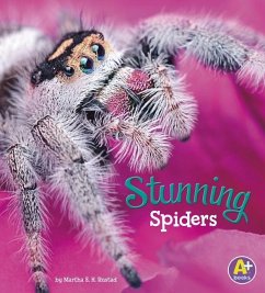 Stunning Spiders - Rustad, Martha E H