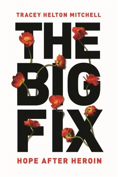 The Big Fix - Mitchell, Tracey