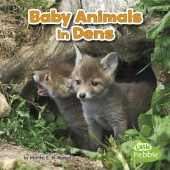 Baby Animals in Dens - Rustad, Martha E. H.