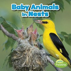 Baby Animals in Nests - Rustad, Martha E. H.