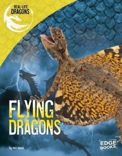 Flying Dragons - Mara, Wil