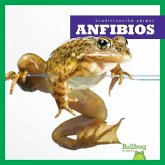 Anfibios (Amphibians)