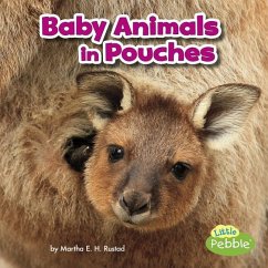 Baby Animals in Pouches - Rustad, Martha E. H.