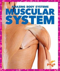 Muscular System - Kenney, Karen