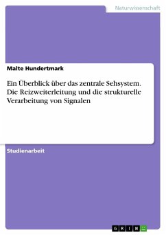 Ein Überblick über das zentrale Sehsystem. Die Reizweiterleitung und die strukturelle Verarbeitung von Signalen - Hundertmark, Malte