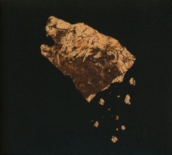 Bronze (Digipak) - Crippled Black Phoenix