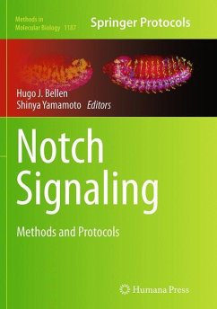 Notch Signaling