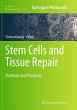 Stem Cells and Tissue Repair - Bild 1