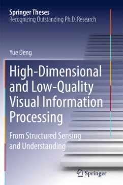 High-Dimensional and Low-Quality Visual Information Processing - Deng, Yue