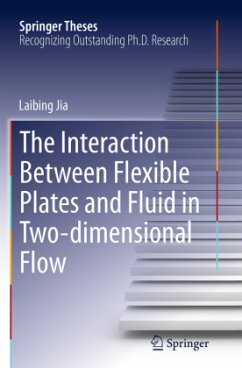 The Interaction Between Flexible Plates and Fluid in Two-dimensional Flow - Jia, Laibing
